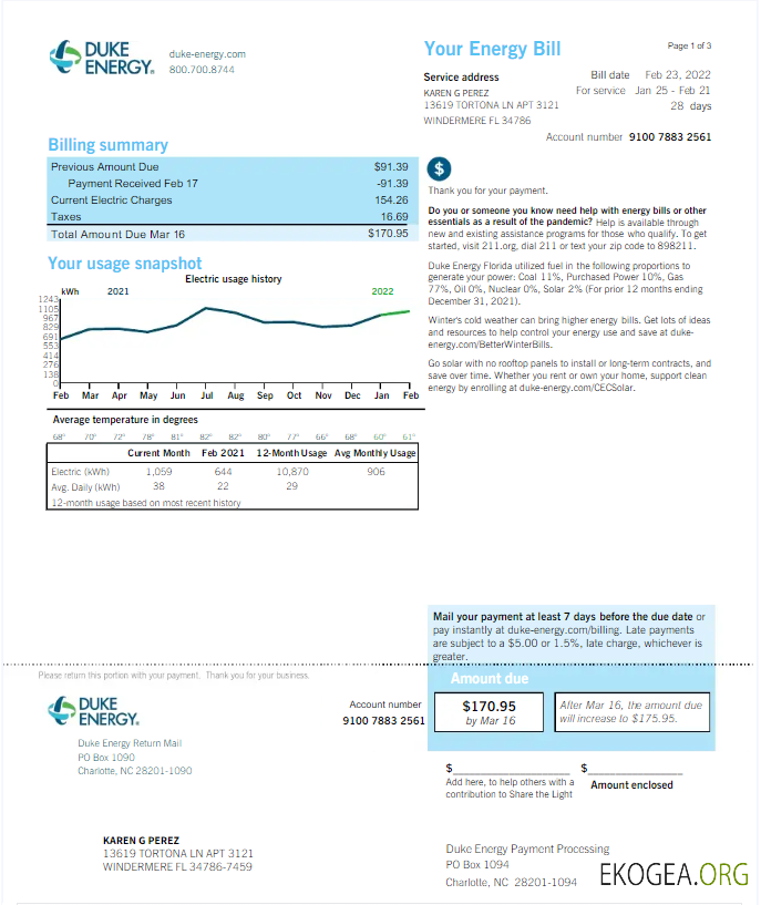 Usa Duke energy utility bill word and pdf template, version 2 template